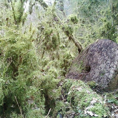 Gite De Charme Auvergne Cab'Ane Brousse Екстер'єр фото