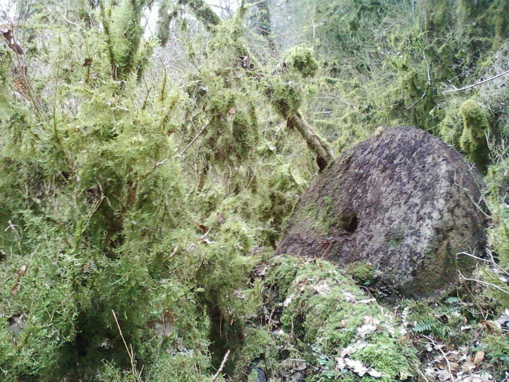 Gite De Charme Auvergne Cab'Ane Brousse Екстер'єр фото