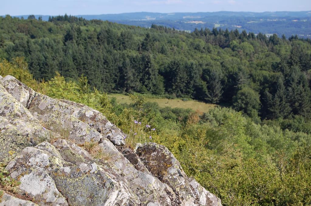 Gite De Charme Auvergne Cab'Ane Brousse Екстер'єр фото